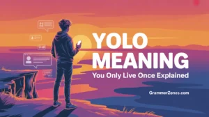 yolo slang meaning
