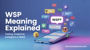 WSP Slang Meaning