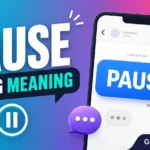 pause slang meaning