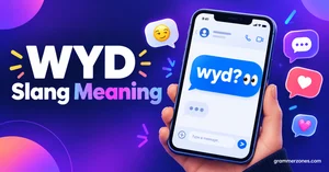 wyd slang meaning